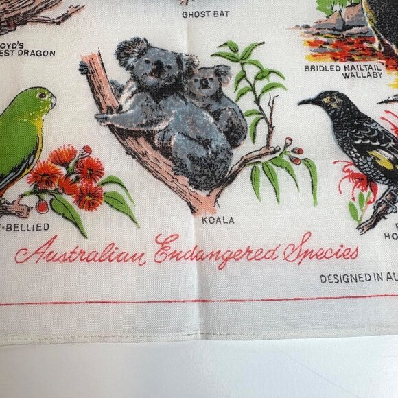 Australian Endangered Species Handkerchief Heil Koala Ghost Bat  Forest Dragon - Picture 3 of 6